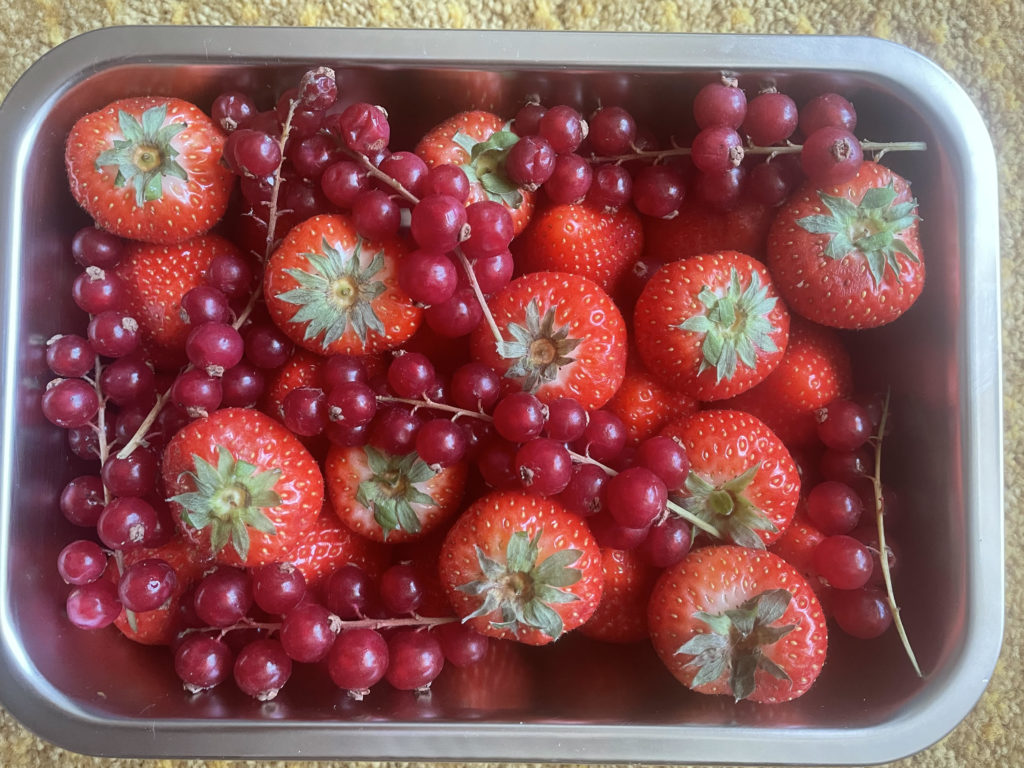 recette aux fraises