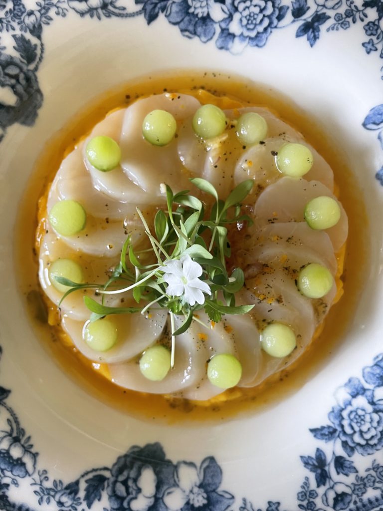 Carpaccio de saint Jacques