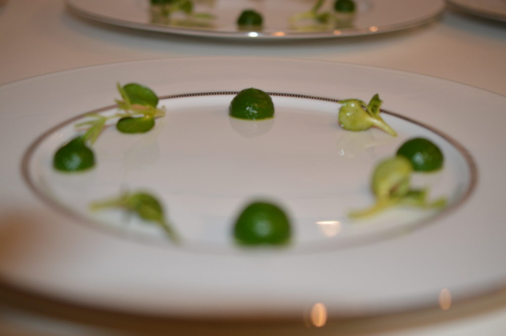 Une assiette décorée par des point verts à base de purée d'épinard et quelques jeunes pousses